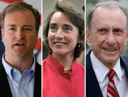 Sestak, Paul score wins as Lincoln faces runoff