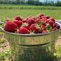 Profile Picture of Farm Credit East, ACA - Facebook (@facebook.com) on Google