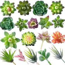 While there are thousands of varieties of succulents with some look similar, there are certain features you can rely on to pinpoint each genus. Amadj18 Pack Artificial Succulent Flocking Plants Unpotted Mini Fake Different Type Different Size Succulents Plant For Decorative Garden Arrangement Decor Amazon Ca Home Kitchen