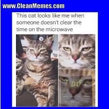 Watch the suprising funny clean warrior cat memes. Clean Memes 02 02 2018 Clean Memes