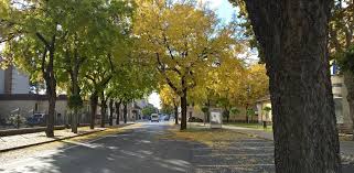 Mátészalka állás, mátészalkai állások, állások mátészalkán, állás és munka mátészalkán. Mateszalka Szabolcs Szatmar Bereg Magyarorszag Club Mateszalka Es Kornyeke Bringasok On Strava