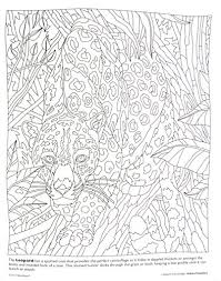 Collect 4 or 5 colors from the same hue together. Buy Hidden Predators Creature Camouflage Coloring Book Online At Low Prices In India Amazon In