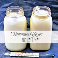 How To Make Yogurt At Home And Save Money Goat Milk Recipes Homemade Yogurt Homemade Yogurt Recipes