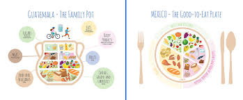 Image result for Nutrition Guidelines