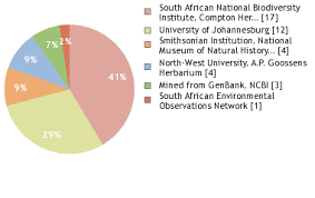 Image result for Hermannia boraginiflora