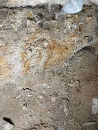 Image result for site:byggahus.se svamp