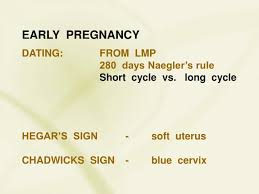 It can be elicited between 6th to 8th weeks of pregnancy. Ppt Early Pregnancy Powerpoint Presentation Free Download Id 3804180