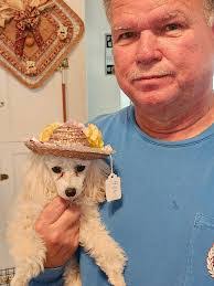 Trina Doss's Instagram, Twitter & Facebook