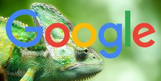 Panther chameleons are our top pick because they are readily available, generally hardy, and have a huge network of keepers that are a resource for i think the biggest hurdle for many people, especially beginners, is that they just are not good pets for handling. Google Says A Site Won T Outrank You Just By Using Hidden Text