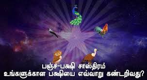 Panchapakshi Shastra Tamil Astrology Astrology Software Learn Astrology