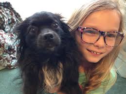 Lost dog Kwabena in Divine, Texas, please contact owner