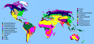 Biomes In The United States Yellowstone National Park Wyoming United States Is Classified As Part Of The Biome Taiga Ho Yellowstone National Yellowstone National Park National Parks