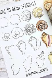 Break your original shape into a few smaller. How To Draw A Conch Shell Step By Step Drawing Tutorial Easy