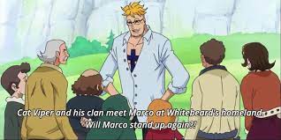 One Piece 15 Things About Marco Fans Never Knew Cbr
