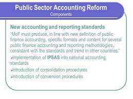 The goals of public finance are to recognize when, how and why the government should intervene in the current economy, and also understand the possible outcomes of making changes in the market. Governmental Financial Reporting Public Sector Accounting Reform In Slovakia Peter Ivanek Ministry Of Finance Of The Slovak Republic Pempal Treasury Cop Ppt Download
