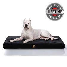 Kuranda walnut pvc chew proof dog bed dogs chew on fabrics they find appealing, and the kuranda standard dog bed is not made of materials that most dogs find appealing. Benefits Of Chew Proof Dog Beds Durable Chew Proof Dog Bed
