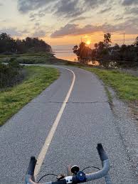 Viewing Wildlife Morning Morning Bike Ride Bike Ride Outfit Summer Bike Riding With Kids Bike Riding Outfit Athletic Summer Vision Board The Well Lehner