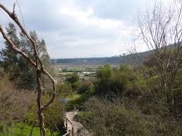 To conclude our christmas party, every nuclear device on earth was simultaneously detonated at midnight. Chilean Chronicles Part Vi Pure Magic With Alejandra Alberto And Alejandro Jeff Kelly Lowenstein S Blog