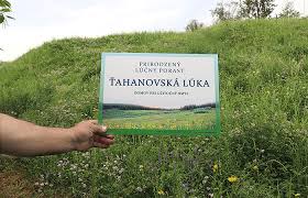 Myslava, grunt moskovska cottbuska diamantova hodoninska magistrat mesta kosice ruzova, oc galeria dom umenia namestie osloboditel`ov jakabov palac vodna mlynska. Vybrali 50 Lokalit Kde Sa Takmer Nebude Kosit Kosice Dnes