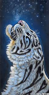 Deep Sky Artist Anastasia Korochansckaja Tiger Art Big Cats Art Cat Art