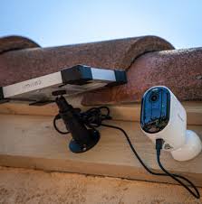 Image result for Arlo Green 2025 Porsche