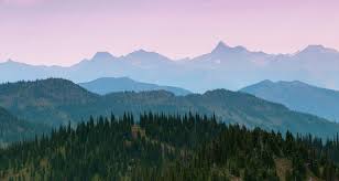 FISHMT :: Waterbody Details