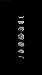 We did not find results for: Iphone Wallpaper Iphone Mobile Wallpaper Iphone Wallpaper Vintage Dark Wallpaper Iphone Black Phone Wallpaper