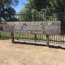 Explore The Little-Known NorCal Arboretum In This Small Town