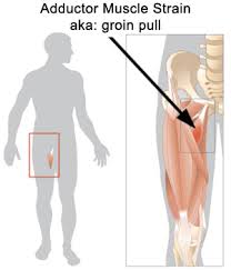 Chiropractor Chandler Az Adductor Strain Groin Pull Muscle Strain Thigh Exercises Bad Knee Workout