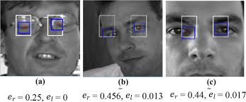 Real-time accurate eye center localization for low-resolution grayscale  images