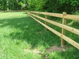 Blue dolphin, brix, blue ribbon, banana boat, buggybeds How Building Wooden Horse Fence Animals Mom Com