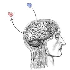 Yanss 093 The Neuroscience Of Changing Your Mind You Are Not So Smart Neuroscience Change Your Mind Mindfulness