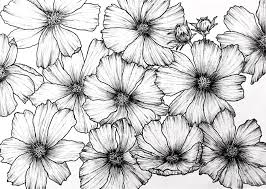 All of us love flowers. How To Draw Any Flower With Pen Ink Ran Art Blog
