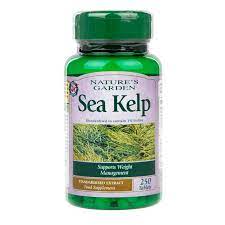 From my research, i think there's some good news and some bad news about the idea of eating seaweed to tackle hair. Natures Garden Sea Kelp Tablets Holland Barrett