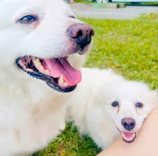 Thank you to whomever left this behind. You put a smile