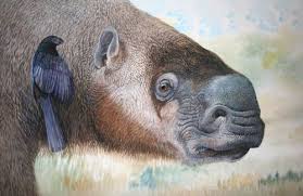 Facebook gives people the power to share and makes. Pin On Paleontology And Prehistoric Life On Earth