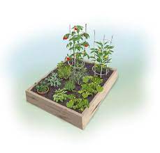 Check spelling or type a new query. Easy 4 X 4 Summer Garden Bonnie Plants