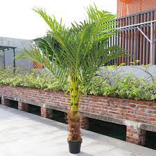 They have been adapted to all climates and imported as staple images of malls, spas, and famous boulevards. 180cm 6ft Artificial Palm Tree Indoor Outdoor Fake Plant Faux Green Garden Tree Ebay