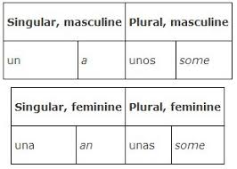 Number And Plurality