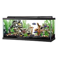 There is not enough room in anything less than a gallon for most bettas to stretch out their fins, and they need the space to explore and play. Top Fin Led Hooded Aquarium Fish Aquariums Petsmart