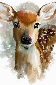 Cute art animal drawings animal paintings cute animal clipart cute illustration stuffed animal patterns animal art cat drawing kawaii animals. 30 Super Cute Animal Watercolor Painting For Beginners Buzz Hippy Watercolor Art Deer Art Deer Painting