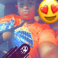 Kentucky roadtrip to towns in Kentucky named after animals!