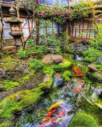 Professional Hair Styling Tools And Equipment Japanese Garden Water Features In The Garden Pond Landscaping