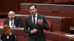 The couple is blessed with three sons and a cute baby girl. Matt Canavan Faces Conflict Of Interest Inquiry Over 20m Loan To Queensland Nrl Club