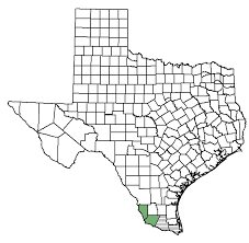 Habitat loss, particularly the loss of at least 85% of arizona's riparian areas (areas between land and flowing water) due to development, livestock grazing, water withdrawal and other factors. apparently, this owl was added to the endangered species list, and the people who wanted to develop the land. Star Cactus Federal State Listed Plants Of Texas