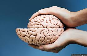 Maybe you would like to learn more about one of these? Exercise Not Puzzles May Protect Against Aging Brain