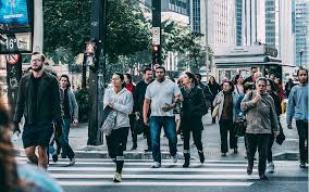 No currículo de carlos oliveira estão já várias atividades: Educacao Emprego E Competencias Qual O Estado Da Nacao Em Portugal Veja Em Direto O Evento Da Fundacao Jose Neves O Jornal Economico