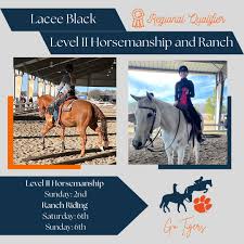 The Western team recieved Reserve High Point for the year, as well as  Reserve High Point for the day Saturday. Abby Newton received Champion High  Point Rider for the region and will