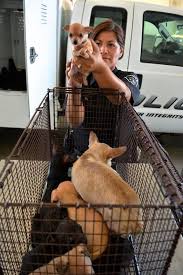 Fontana tropical fish & pets. Fontanapd Animal City Of Fontana Police Department Facebook