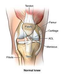 If i do the left leg it does hurt the right problem area. Knee Ligament Repair Johns Hopkins Medicine